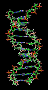 Hey Myriad, if Watson and Crick could share credit for their independent discoveries of DNA, why can't you share with other labs? (Image from Wikipedia)